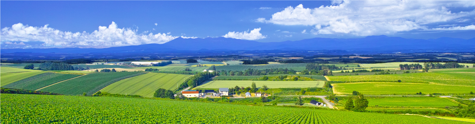 スライダー画像1