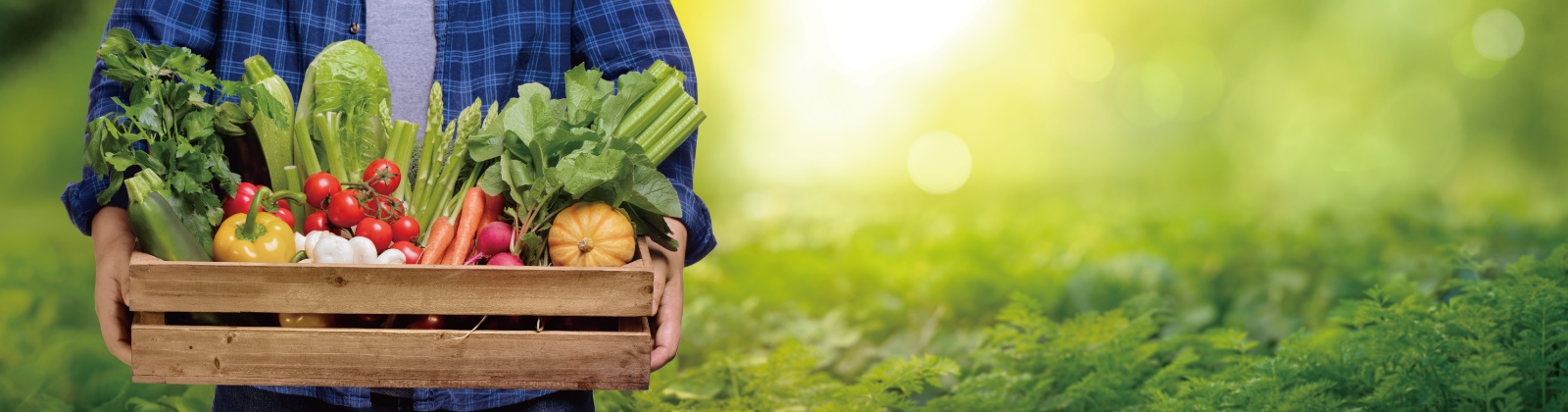 スライダー画像2